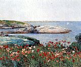 Poppies Isles of Shoals by childe hassam